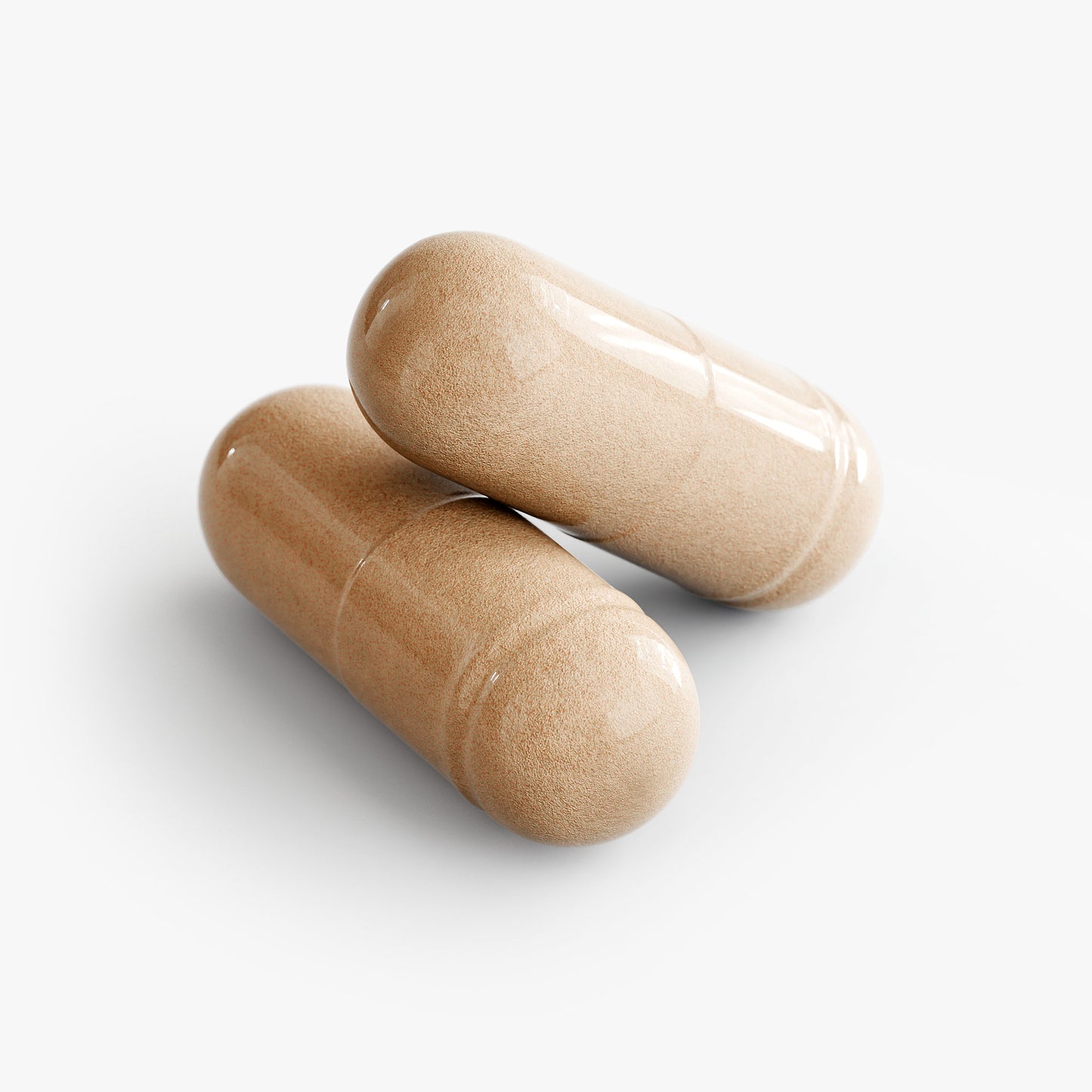 Erectide